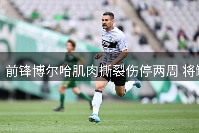 前锋博尔哈肌肉撕裂伤停两周 将缺席关键补赛