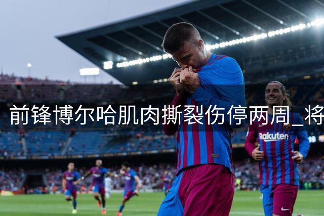 前锋博尔哈肌肉撕裂伤停两周 将缺席关键补赛